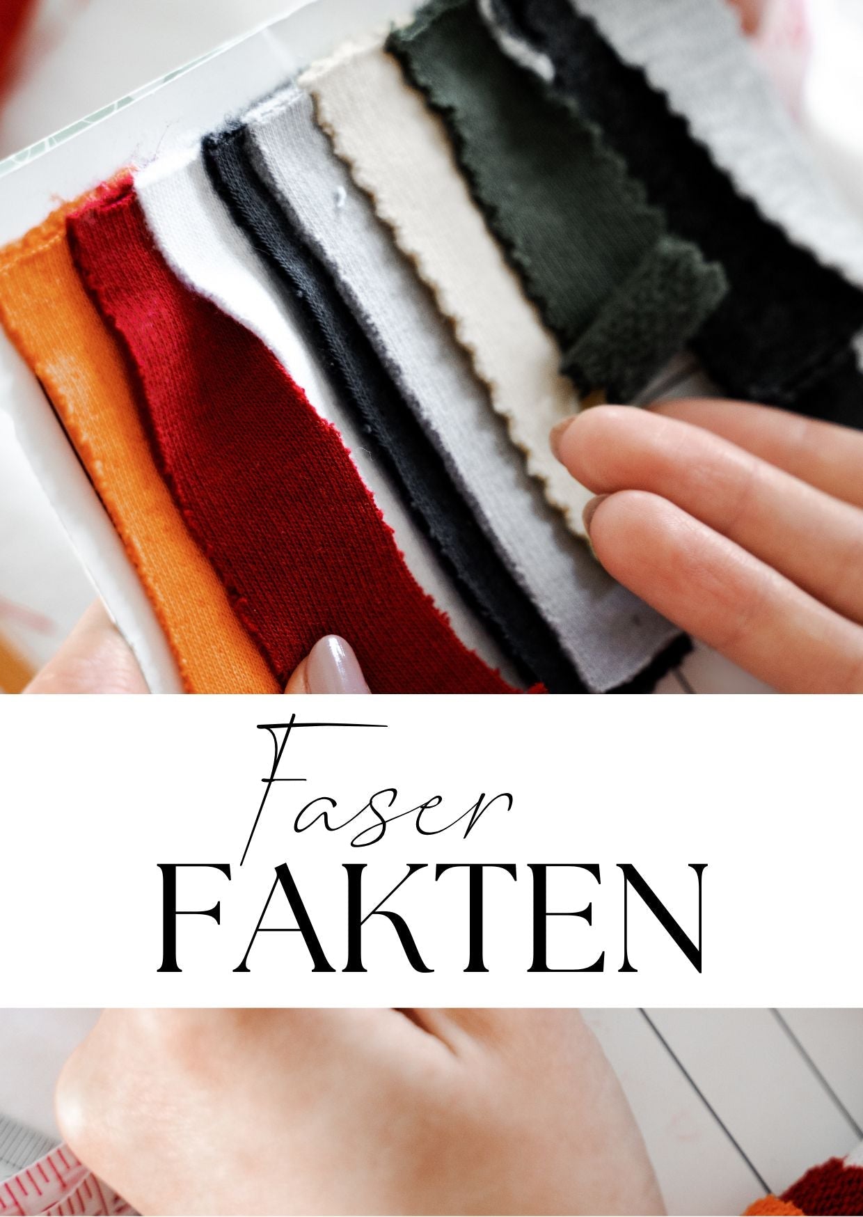 Faser Fakten - FinasIdeen